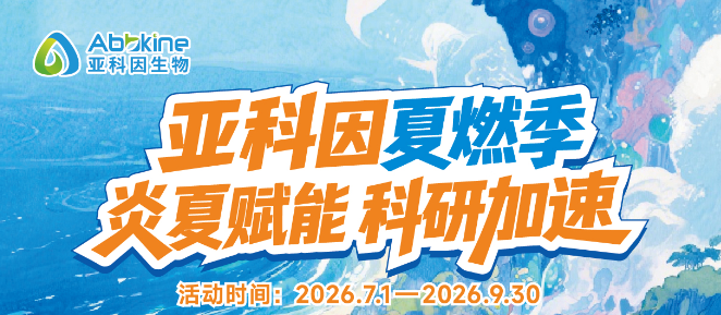 亚科因夏燃季 炎夏赋能科研加速
